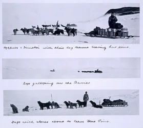Three Views of the Dog Teams Led by Meares and Dimetri on the 
